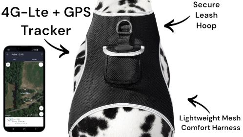 Secure Pets Safety with Realtime Rechargeable GSM GPS Mini Pet Tracker Size:XL