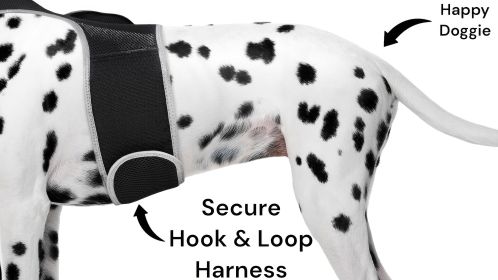 Waterproof Pet Tracking Dog Collar GPS Wireless Tracker Mini Locator Size:S